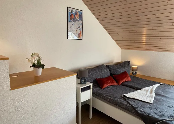 Duplex Avec Vue Et Montagnes Appartement