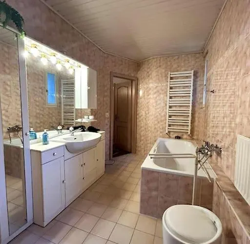 Duplex Avec Vue Et Montagnes Daire Montrö